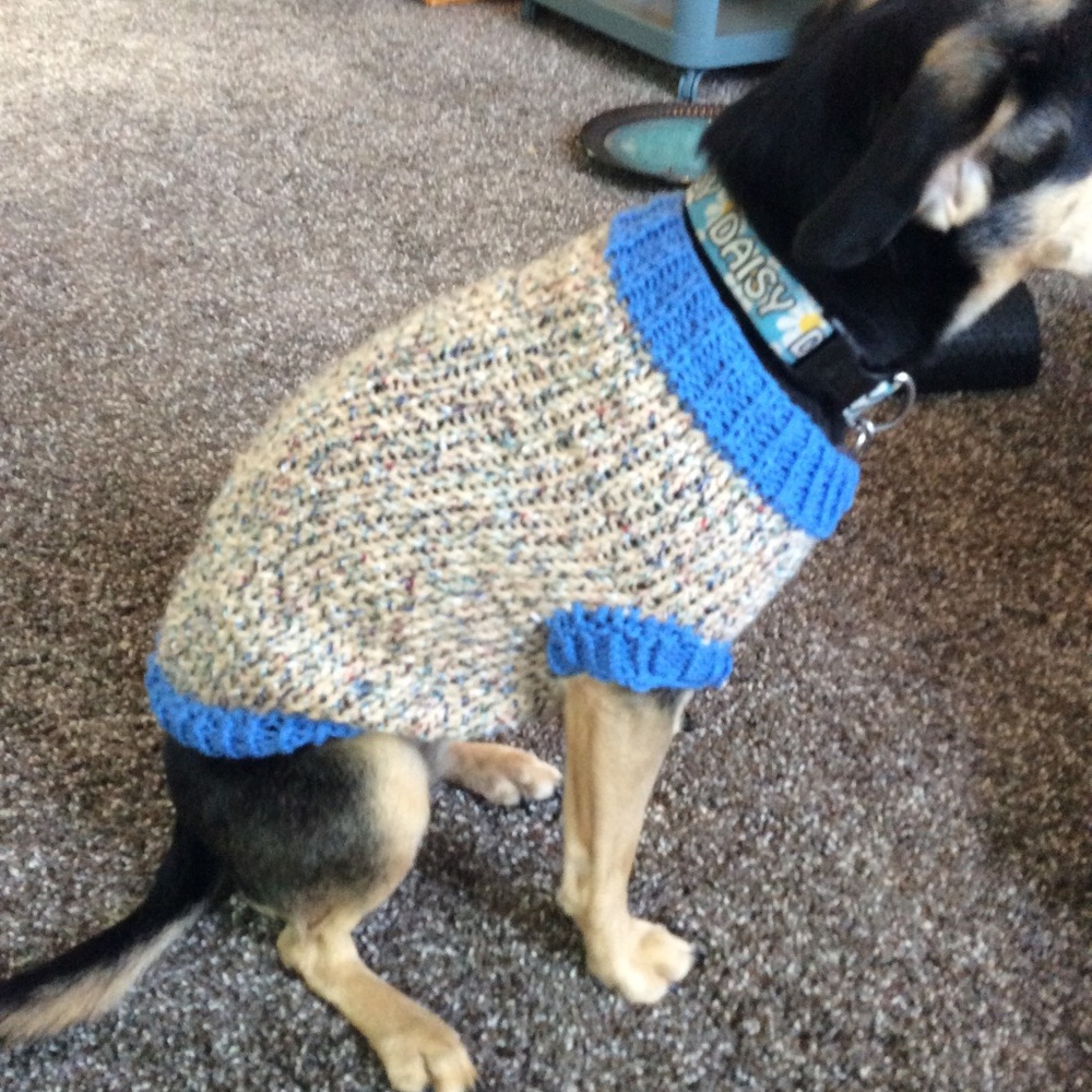 Boutique: Dog sweater with bow tie.